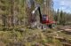 Arbetsmaskiner kan komma in i trafikregistret 12 Bild på en skördare (skogsmaskin) som avverkar skog