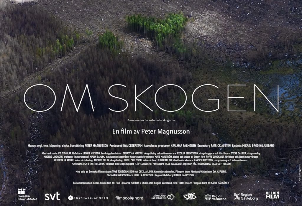 Skogsfilm 2021 skarvar på skogsbrandsfoto 7 Filmen-Om-skogen-medverkande-finansiärer-skogsbrandshygge