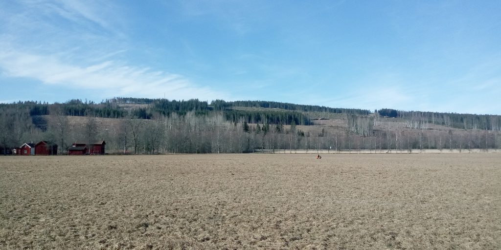Första, andra och tredje statsmakterna i skogen 2021 6 Giejersgården på bild. Kanske var det här statsmakt myntades fysiskt?