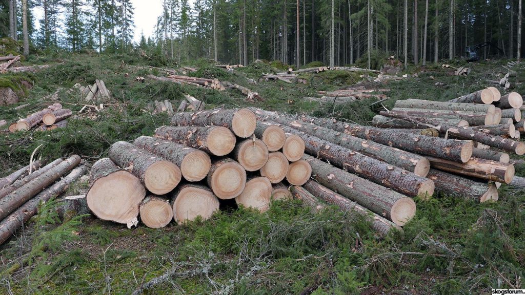 Virkesbrist enligt SKA22 – dags att investera i förädling? 9 Enligt SKA22 så överavverkar vi barrtimmer