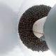 Barkborresvärmning-fullt-fälla