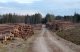 Rundvirkeslager inför barkborre- och brädgårdsrallyt 2021 9 rundvirkeslager-sågverk-massaved