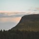 Fjällnaturskog i Sverige