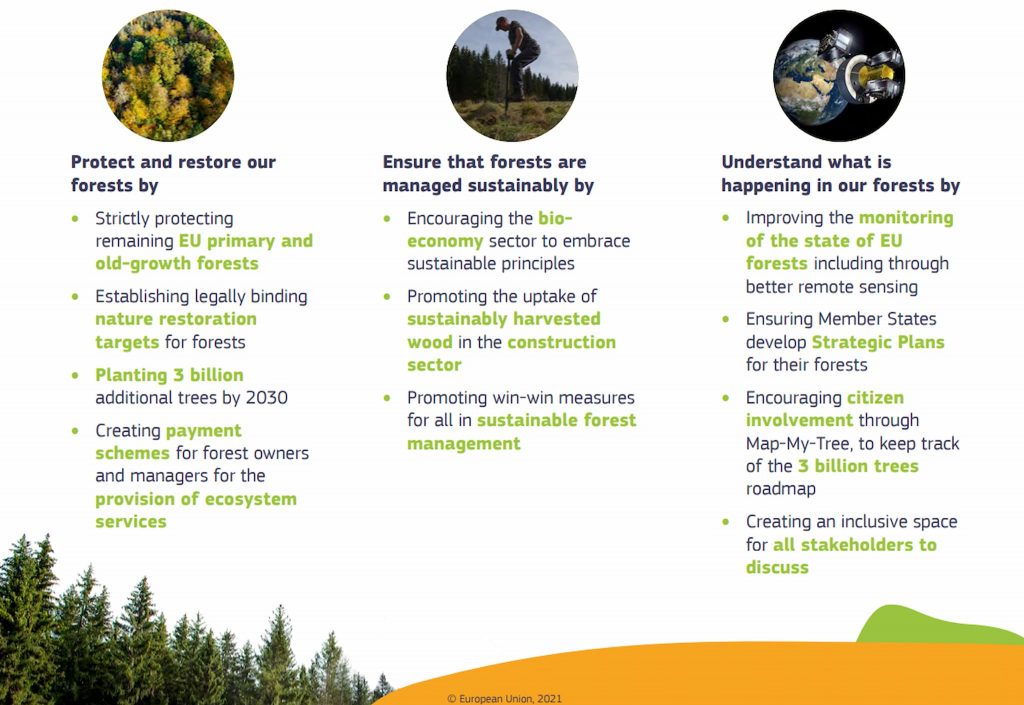 EU-klimatet och skogen -- mot 2030 och vidare! 5