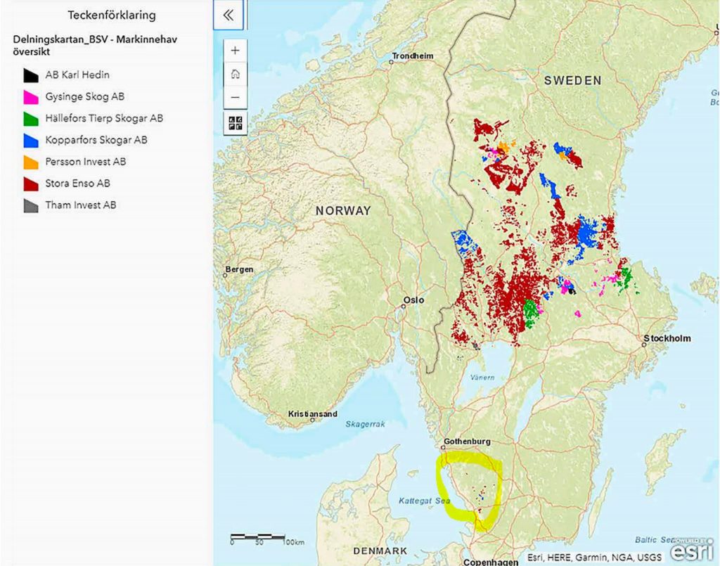Höga och långa spel på bolagsskog 2021? 5