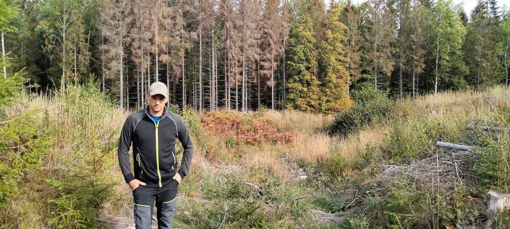 Sveaskog struntar i att "stoppa borrar" 2021 -- var "inte med i planeringen?" 5 Barkborreangrepp Rejmyre