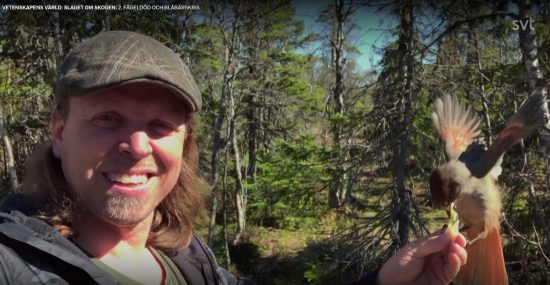 Alternativa skogsfakta i "Slaget om skogen" 2021 4 Skogsfakta