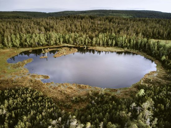 Betalning för skogens ekosystemtjänster - har du koll på vattnet? 4 Vatten och skog hör ihop och med betalning för skogens ekosystemtjänster kan det blir en bra affär för skogsägare.