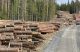 Finlands största virkesköpare väljer bort ny virkesbörs 17 Virke i Finland utefter skogsbilväg