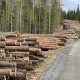 Virke i Finland utefter skogsbilväg